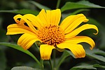 photo thumbnail #13