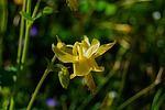 photo thumbnail #15
