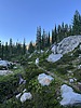 photo thumbnail #12