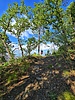photo thumbnail #13