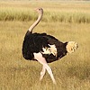 photo thumbnail #13
