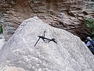 photo thumbnail #14