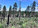 photo thumbnail #7