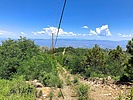 2024-07-17 :1: Mint Spring Trail #20 :: kingsnake