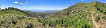 2024-07-17 :1: Mint Spring Trail #20 :: kingsnake