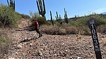 photo thumbnail #13