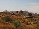 photo thumbnail #5