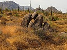 photo thumbnail #7