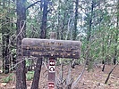 photo thumbnail #15
