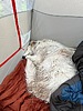 photo thumbnail #15