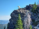 2024-07-16 :2: Scotchman Peak #65 :: DixieFlyer