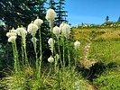 photo thumbnail #9