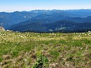 photo thumbnail #11