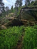 photo thumbnail #6