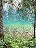 photo thumbnail #13