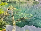 photo thumbnail #6