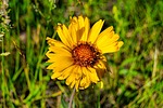 photo thumbnail #14