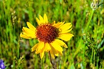 photo thumbnail #13