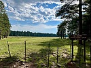 recent photo