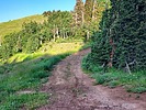 photo thumbnail #1