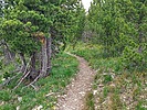 photo thumbnail #3