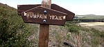 photo thumbnail #14