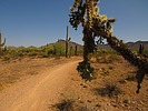 2024-07-28 :2: Moon Rock Trail :: DarthStiller