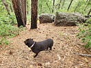 photo thumbnail #3