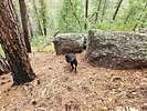 photo thumbnail #4