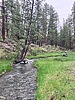 photo thumbnail #6
