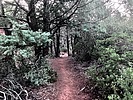 photo thumbnail #5