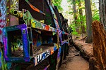 photo thumbnail #7