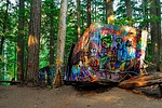 photo thumbnail #3