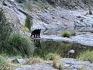 Featured Full Photo