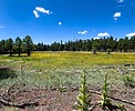 photo thumbnail #15
