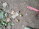 photo thumbnail #7