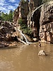 photo of comment