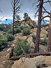 photo thumbnail #12
