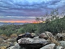 photo thumbnail #6