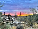 photo thumbnail #9