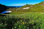 photo thumbnail #11