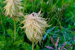 photo thumbnail #14