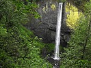 Featured Full Photo