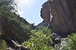 photo thumbnail #7
