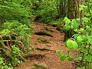 photo thumbnail #15