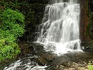 photo thumbnail #14