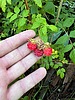photo thumbnail #5