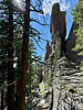 photo thumbnail #14