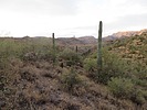 photo thumbnail #1
