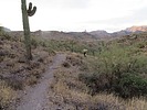 photo thumbnail #2